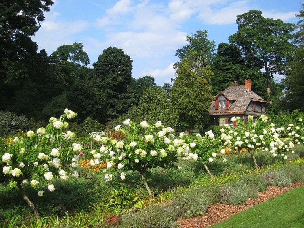 réparer votre jardin pour les saisons à venir 